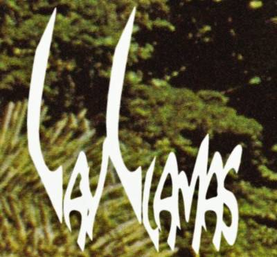 logo Lay Llamas